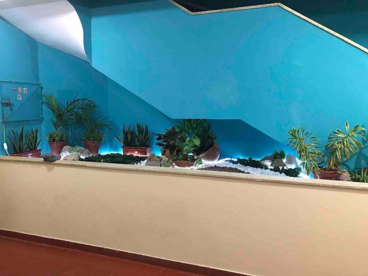 Studio Terreo - Tranquilidade Na Cidade | Wi-Fi | Poucos Metros Da Igreja Matriz. Salinópolis Exterior foto